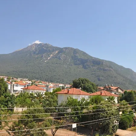 Βίλα Mountain View *