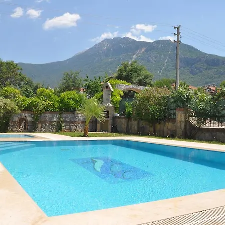 Mountain View *